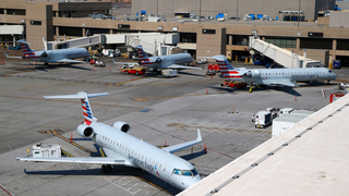 Unattended Car Shuts Down Parts of Phoenix Airport for Hours, Delays Hundreds of Flights